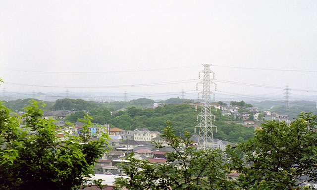 ʐ^No.19