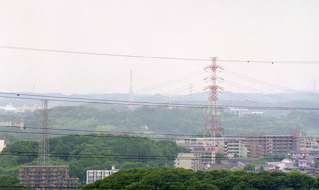 ʐ^No.29
