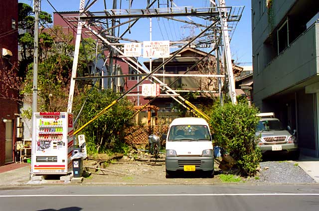 写真No.695