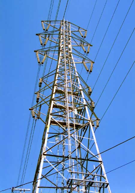 写真No.696