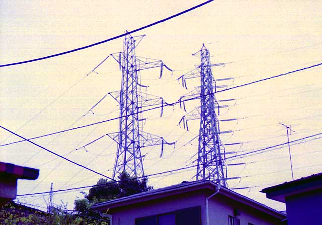 写真No.436