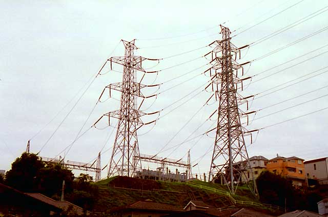 写真No.439